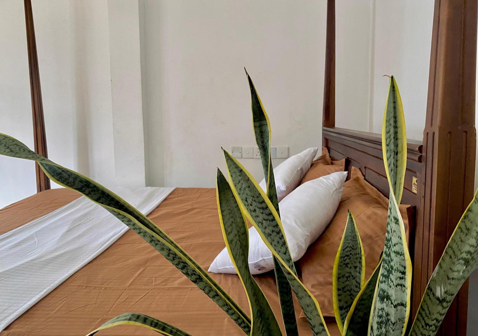 ווליגאמה Sasmika Villa Surf And Yoga Hostel מראה חיצוני תמונה