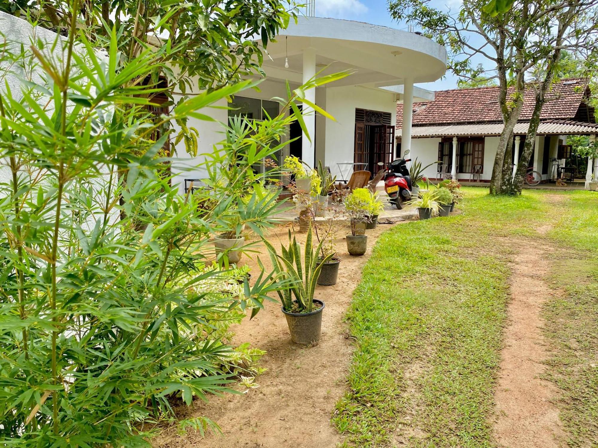 ווליגאמה Sasmika Villa Surf And Yoga Hostel מראה חיצוני תמונה