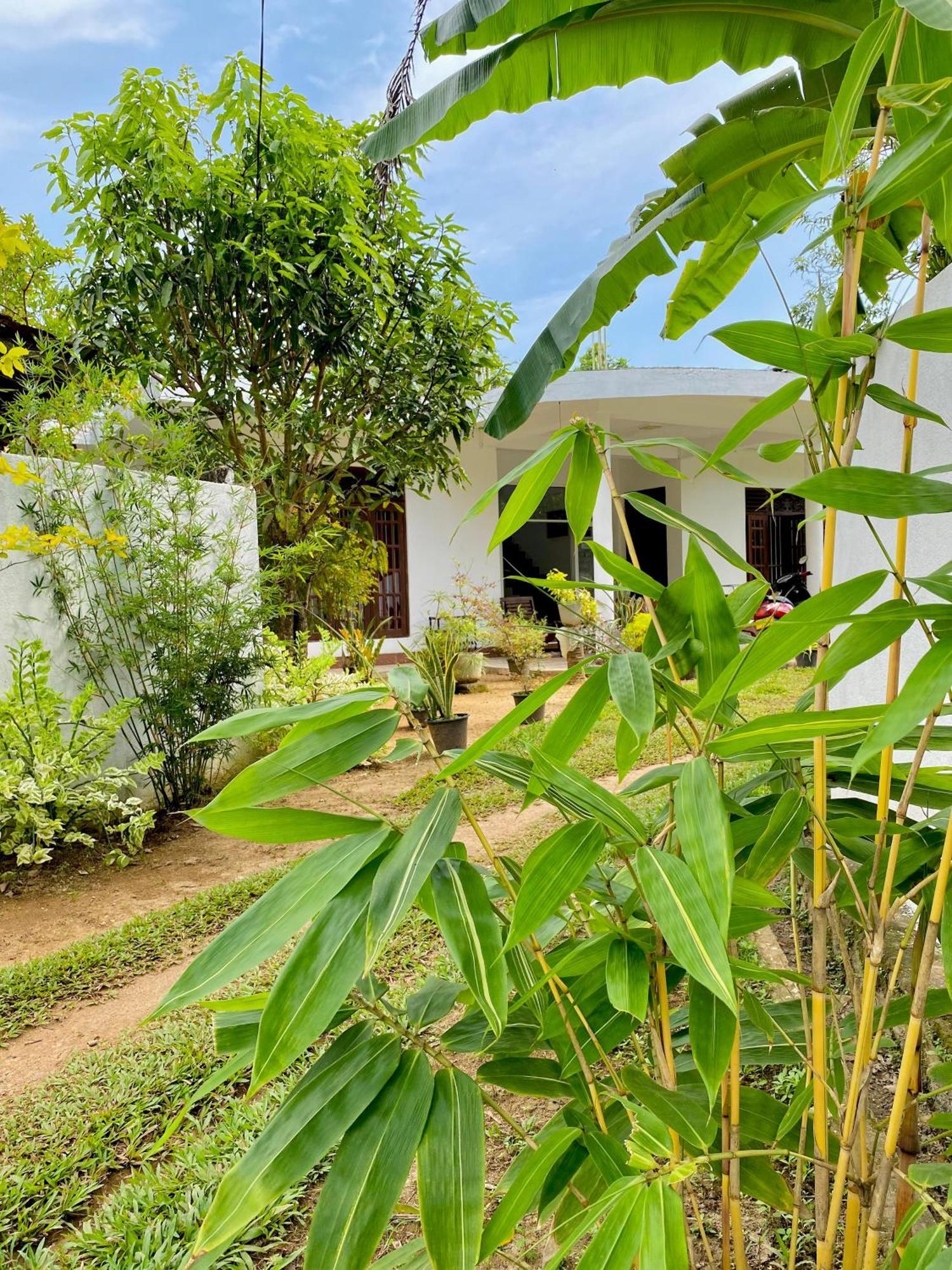 ווליגאמה Sasmika Villa Surf And Yoga Hostel מראה חיצוני תמונה